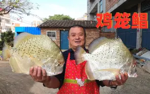 580买12斤鸡笼鲳，铁锅炖大鱼才叫香，农村十几人吃嗨了！