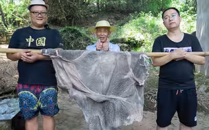 380买一个牛草肚，阿米做“红烧牛肚”麻辣够味，费了4个小时值了