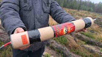 老毛子改良款的超大号鞭炮，居然把树炸断了