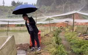 自从养了蛙，出门在外都惦记着，一有时间就跑过看看，刮风下雨雷打不动，虽然我也不知道干啥，但就喜欢在蛙场里面待着，可能这就是热爱吧