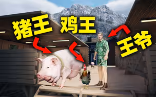 小 镇 养 猪 家