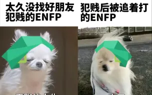ENFP图鉴