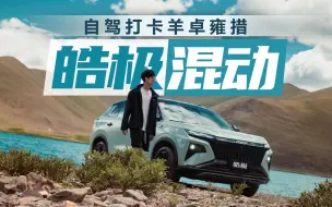 自驾打卡羊卓雍措 皓极混动高原不缺氧