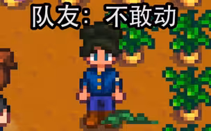 当我把队友认成了NPC并怒斥她的偷菜行为