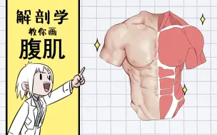 用解剖学教你画腹肌？！