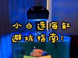 小白选海缸避坑指南 开海缸千万不要买太小的鱼缸，30背滤其实并不贵，水泵+鱼缸+珊瑚灯240元，微蛋分有用吗？海缸新手避坑指南！