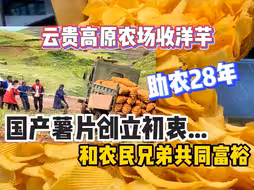 国产薯片创立初衷，和农民兄弟共同富裕，今天带大家去山上收洋芋！