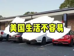 美国生活真不容易啊，争取早日实现青菜自由