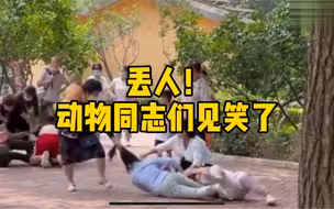 丢人！动物同志们见笑了