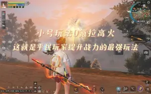 小号玩法0氪拉高火 已成