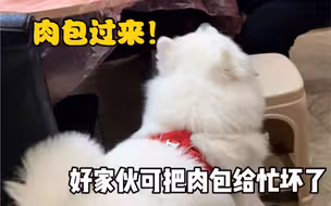 过年当亲戚来家里吃饭