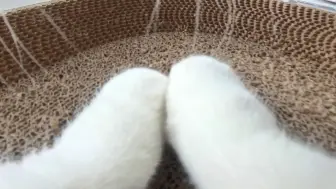 这里不样磨爪几!!!