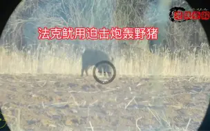 法克鱿用迫击炮轰野猪 螺蛳粉掉了一地