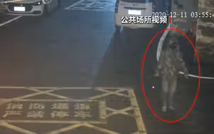 偷两百多件金器没出门就被抓 蒙面盗贼输给了高科技