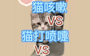 教你区分：猫咳嗽，猫打喷嚏，猫逆向打喷嚏