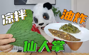仙人掌竟然是蔬菜？凉拌+油炸！揭秘沙漠中的神秘味道！