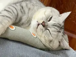 偷拍大壮睡觉
