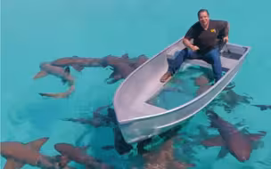 世界上最夸张的广告