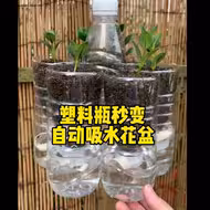 塑料瓶秒变自动吸水花盆，非常适合懒人养花