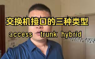 1分钟学会交换机的三种类型access,trunk,hybrid端口