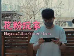 被花粉包围的塞尔达玩家