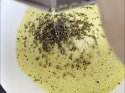 意大利午餐吃什么，不如来一份黑松露玉米糊，别有一番风味