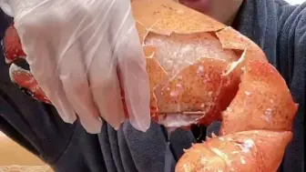 （搬运淼淼）龙虾