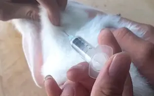 练习皮下注射（新手）