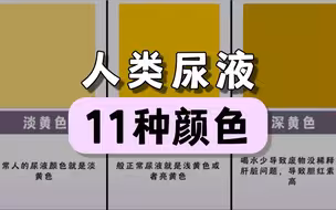 人类尿液的11种颜色，代表什么？