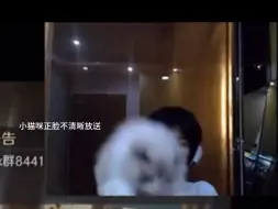 ON｜欧恩的小猫咪正脸初放送