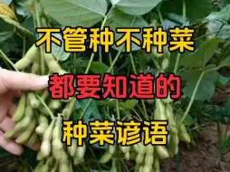 不管种不种菜都要知道的种菜谚语