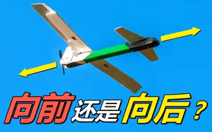向前飞还是向后飞？奇葩的空中霸主:鸭式飞机