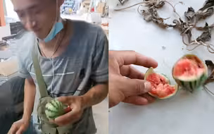 男子手握“超大西瓜”给工友解暑，工友一拳砸开笑喷：熟过头了