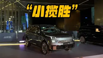 不到三十万，杭州“小揽胜”