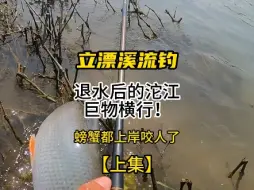 此次使用小号大白鱼玩家溪流漂吃铅0.32g/竿子3.9风波里和3.6米光威雄风将！看天气，抓水位。爆护了！