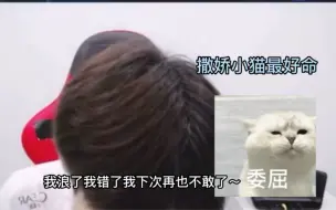 【今屿】撒娇小猫最好命
