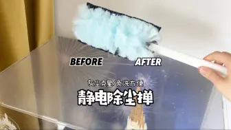 除尘一绝 亲测好用｜小小灰尘 拿下🤏
