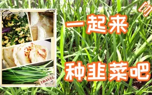 【和阿黎一起种韭菜（1）】从一粒种子到韭菜盒子 -- 准备工作 | 播种前可别忽视这些小细节