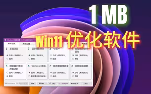 win11win10仅1M优化软件