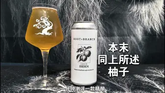 小众类型精酿啤酒安利！本末同上所述柚子柏林酸小麦测评