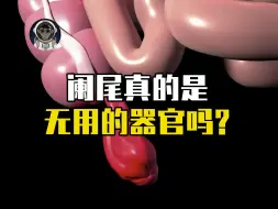 “阑尾”真的是一个毫无作用的残留器官吗？