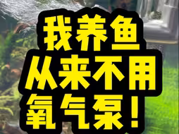 我养鱼从来不用氧气泵！