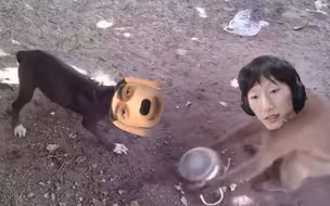 电棍训狗