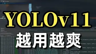 【YOLOv11】一小时掌握！从0开始搭建部署YOLOv11，环境安装+推理+自定义数据集搭建与训练，草履虫都能听懂！
