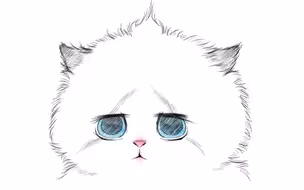 《它明明不是布偶猫还这么开心......》