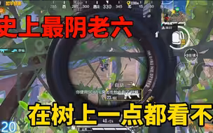 飞天上树老六，塔上轻松灭队，敌人观战我都蒙了，最后1v3吃鸡
