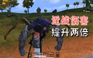 金刚结晶共有5个功能