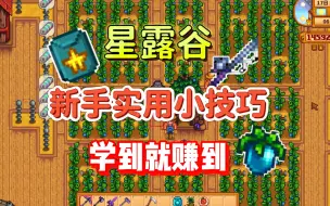 星露谷物语--新手小技巧
