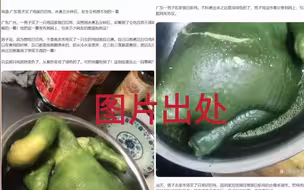 上海周浦发的鸭子变绿？假的！移花接木拼凑的谣言