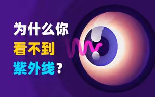 为什么你看不到紫外线？